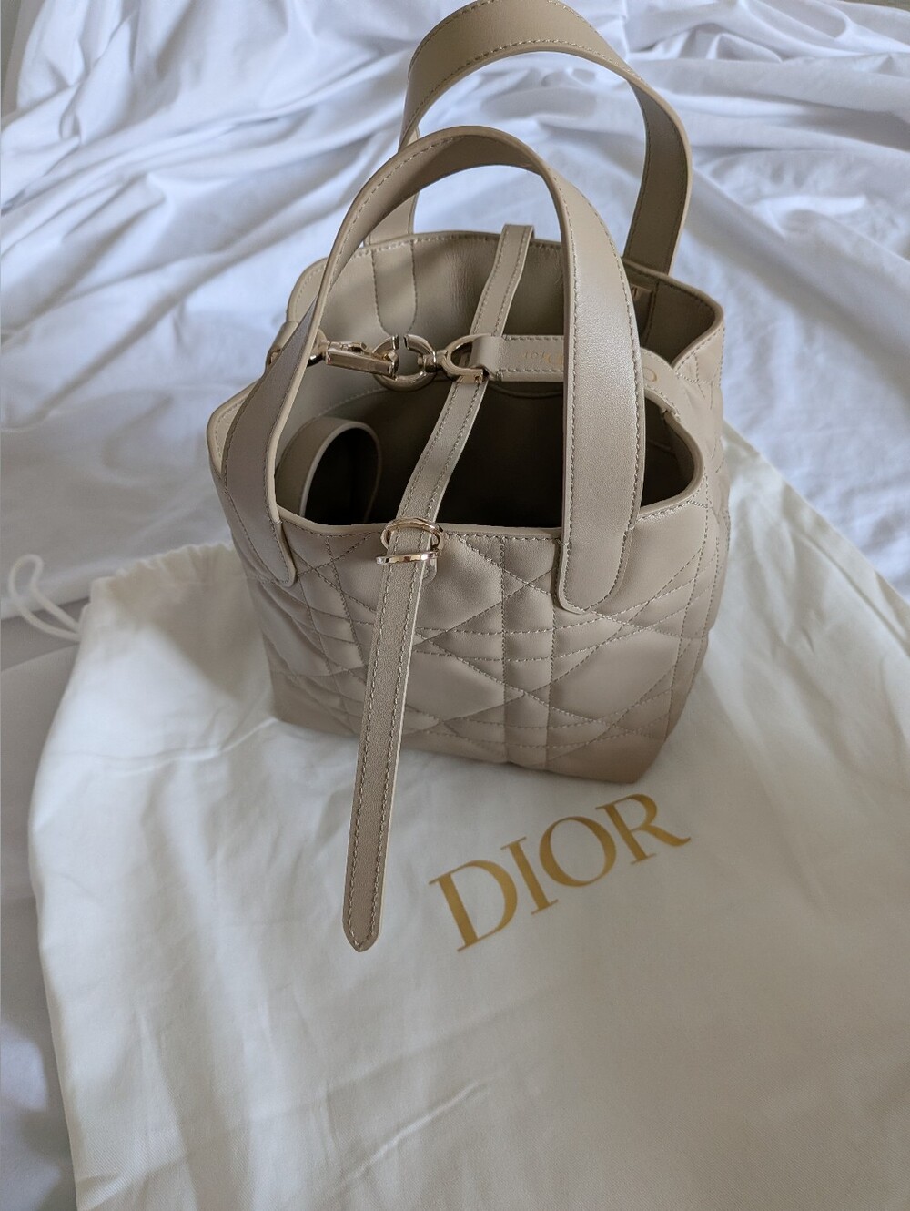Authentic Small Dior Toujours Vertical Tote